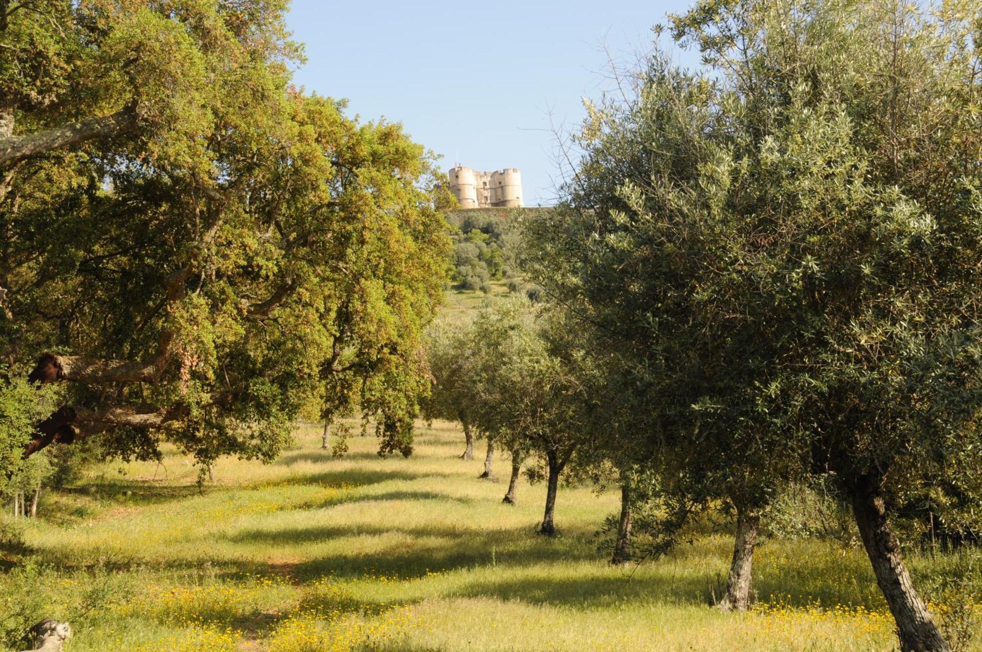 Vila Quinta De Evoramonte Estremoz Exteriér fotografie